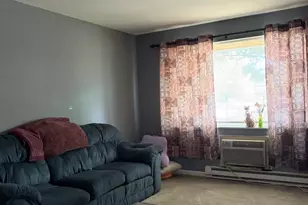 222 Madison St, Joliet, IL 60435 - Photo 12