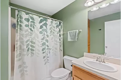 911 Cottonwood Drive, Elwood, IL 60421 - Photo 30