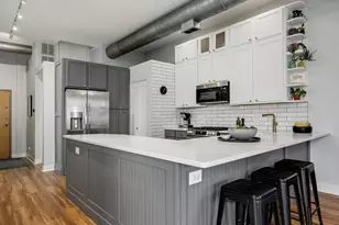 2101 W Rice St, Chicago, IL 60622 - Photo 12