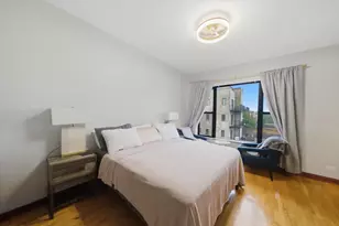 212 E 44th St, Chicago, IL 60653 - Photo 18