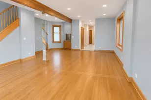 3309 S Lowe Ave, Chicago, IL 60616 - Photo 18