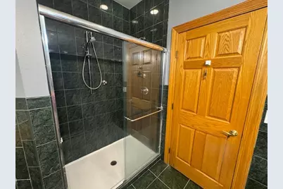 3309 S Lowe Avenue, Chicago, IL 60616 - Photo 6