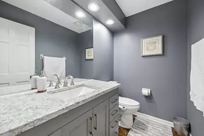 1524 Oswego Road, Naperville, IL 60540 - Photo 30