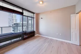 100 E 14th St, Chicago, IL 60605 - Photo 20
