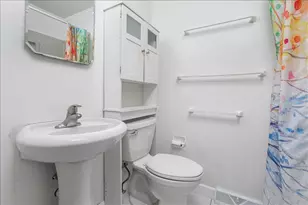 17 S Walnut St, Palatine, IL 60067 - Photo 16