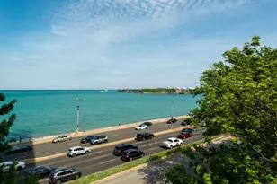 840 N Lake Shore Dr, Chicago, IL 60611 - Photo 30