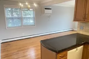 11255 S Roberts Rd, Palos Hills, IL 60465 - Photo 6