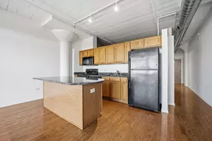 1524 S Sangamon St, Chicago, IL 60608 - Photo 6