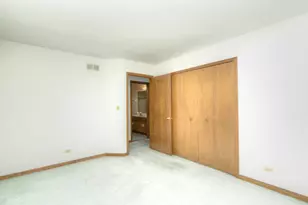 650 Lavina Ct, Bolingbrook, IL 60440 - Photo 24