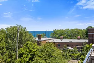 3901 S Lake Park Ave, Chicago, IL 60653 - Photo 30