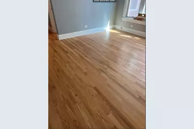 6816 S Cornell Avenue, Chicago, IL 60649 - Photo 10