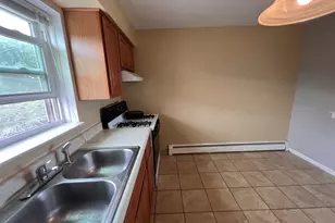 236 W Johnson St, Palatine, IL 60067 - Photo 4