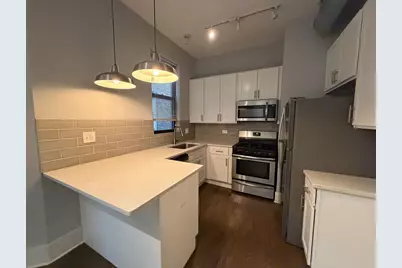 1722 W 21st Street #2F, Chicago, IL 60608 - Photo 2