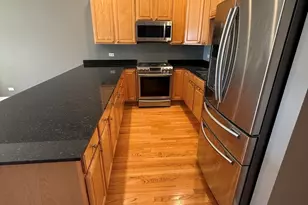 420 N Noble St, Chicago, IL 60642 - Photo 10