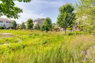 29 Neri Dr, Schaumburg, IL 60194 - Photo 40