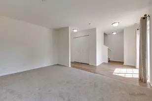 29 Neri Dr, Schaumburg, IL 60194 - Photo 30