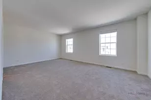 29 Neri Dr, Schaumburg, IL 60194 - Photo 20