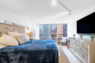 110 E Delaware Pl, Chicago, IL 60611 - Photo 26