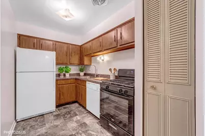 8232 Niles Center Road #311, Skokie, IL 60077 - Photo 6