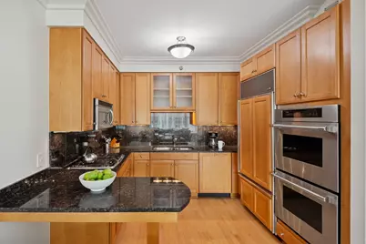25 E Superior Street #3903, Chicago, IL 60611 - Photo 10