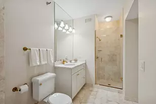 25 E Superior St, Chicago, IL 60611 - Photo 20