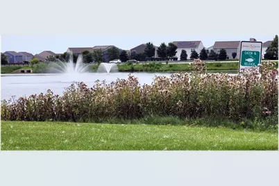 1532 Hollow Tree Lane, Pingree Grove, IL 60140 - Photo 54