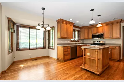 14020 Blackhawk Lane, Orland Park, IL 60462 - Photo 14