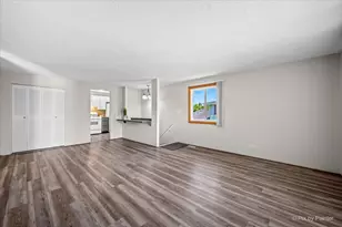 121 Millbrook Ln, Schaumburg, IL 60193 - Photo 8