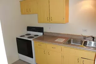 314 Lathrop Ave, Forest Park, IL 60130 - Photo 8