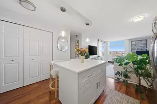 1455 N Sandburg Terrace, Chicago, IL 60610 - Photo 4