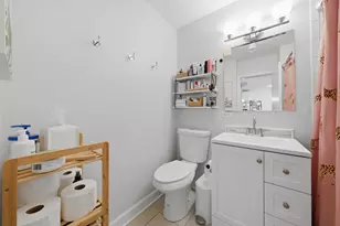 1455 N Sandburg Terrace, Chicago, IL 60610 - Photo 10