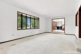 33481 N Christa Dr, Ingleside, IL 60041 - Photo 8