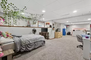 1160 S Heritage Dr, Diamond, IL 60416 - Photo 16