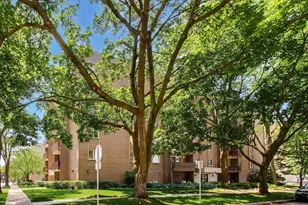1365 Ashland Ave, Des Plaines, IL 60016 - Photo 2