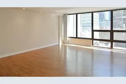 230 E Ontario Street #802, Chicago, IL 60611 - Photo 10