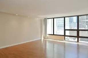 230 E Ontario St, Chicago, IL 60611 - Photo 10