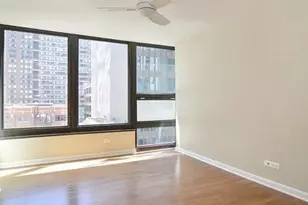 230 E Ontario St, Chicago, IL 60611 - Photo 8