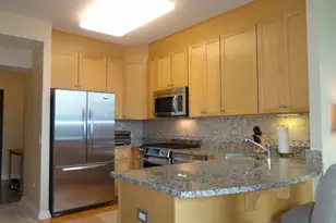 33 W Ontario St, Chicago, IL 60654 - Photo 4