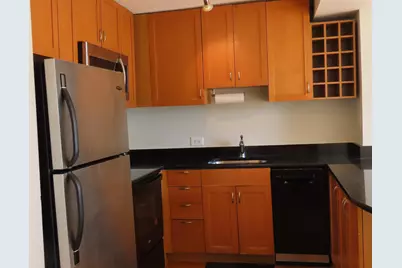 1460 N Sandburg Terrace #803A, Chicago, IL 60610 - Photo 6