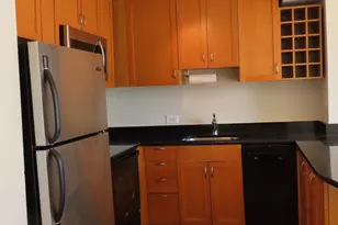 1460 N Sandburg Terrace, Chicago, IL 60610 - Photo 6