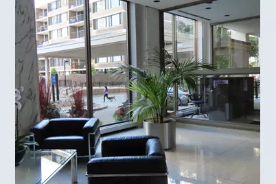 1460 N Sandburg Terrace #803A, Chicago, IL 60610 - Photo 14