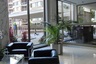 1460 N Sandburg Terrace, Chicago, IL 60610 - Photo 14