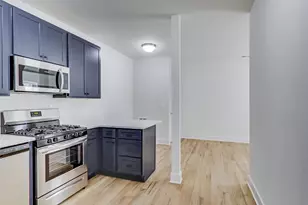 815 S Carpenter St, Chicago, IL 60607 - Photo 8