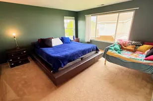 911 Berry Path Trail, Matteson, IL 60443 - Photo 20