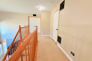 911 Berry Path Trail, Matteson, IL 60443 - Photo 16