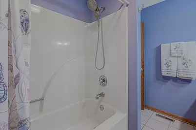25111 S 104th Avenue, Frankfort, IL 60423 - Photo 24