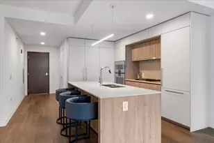 211 N Harbor Dr, Chicago, IL 60601 - Photo 4