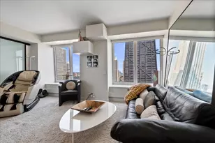 161 E Chicago Ave, Chicago, IL 60611 - Photo 16