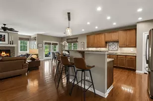 14 Championship Pkwy, Hawthorn Woods, IL 60047 - Photo 10
