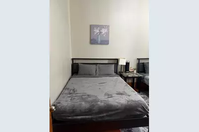 441 E 42nd Street, Chicago, IL 60653 - Photo 16